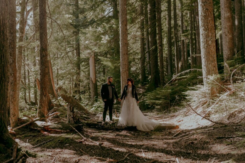 Golden lit elopement alternative elopement couple in Mt. Rainier National Park